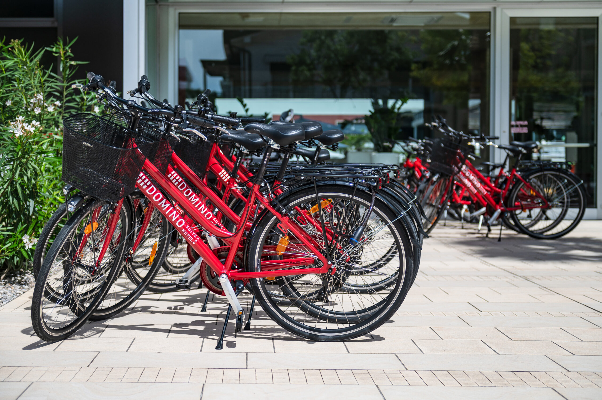 Noleggio bici 2